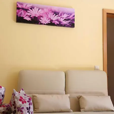 Ferienwohnung In Dresden *