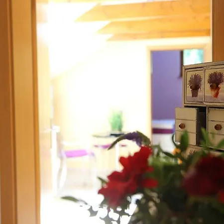 Ferienwohnung In Dresden Διαμέρισμα Freital